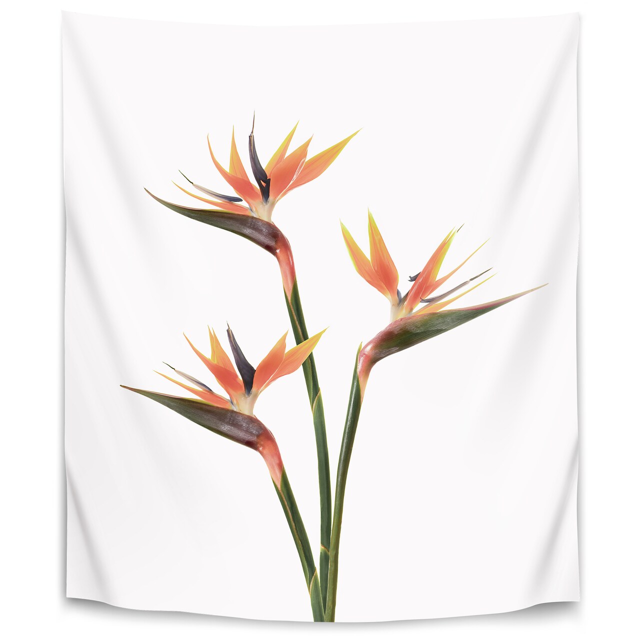 Birds Of Paradise by Sisi and Seb  Wall Tapestry - Americanflat
